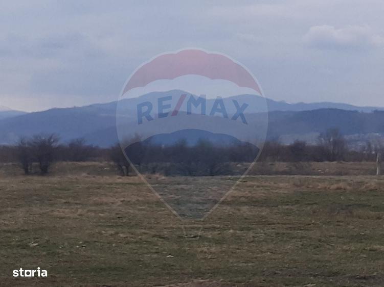 Spațiu comercial, în Pănicel