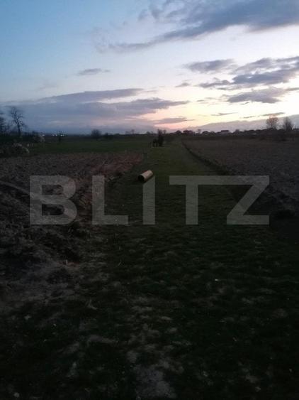 Teren Construcții intravilan de 2900 mp, în Vințu de Jos