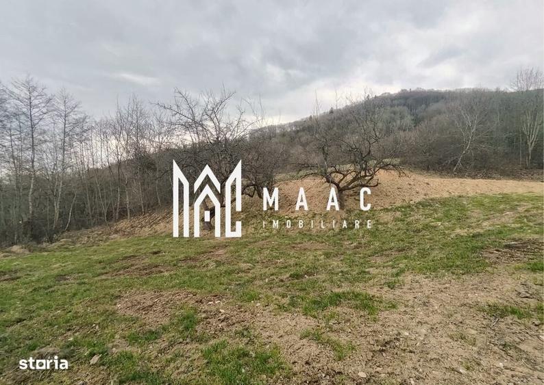 Spațiu comercial, în Sibiel