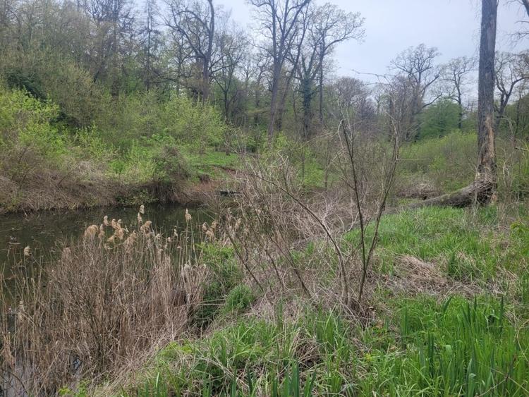 Teren Construcții de 4000 mp, în Snagov