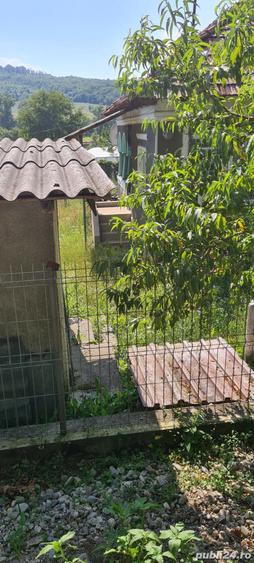 Casă cu 3 camere în Bârsești (Mihăești)
