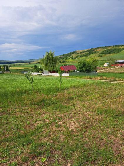 2900m2 teren intravilan in comuna Ion Creanga jud Neamt - 2