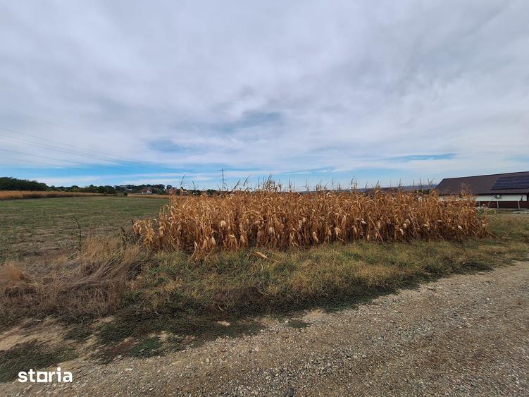 Teren de 2700 mp, în Mărgineni