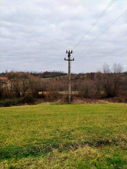 Teren de 15000 mp, în Sărand