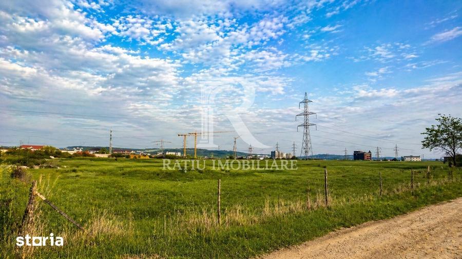 Teren de 15536 mp, în Nufărul