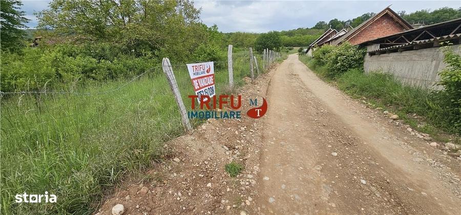 Spațiu comercial, în Central