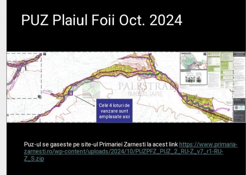 Teren de 12150 mp, în Plaiul Foii