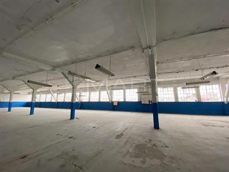 Spațiu industrial, de 50 mp, în Cisnădie