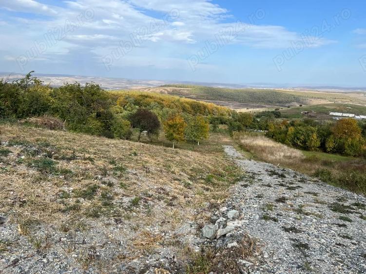 Teren de 3744 mp, în Gheorghieni