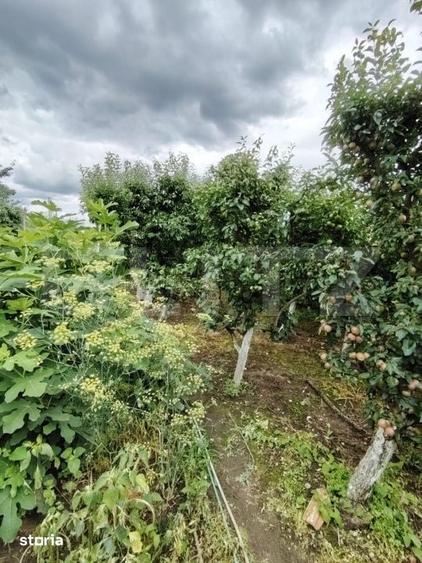 Casă cu 4 camere cu Teren 2795 Mp în Central