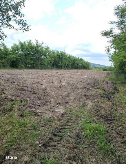 Teren de 3000 mp, în Cocorăștii Mislii