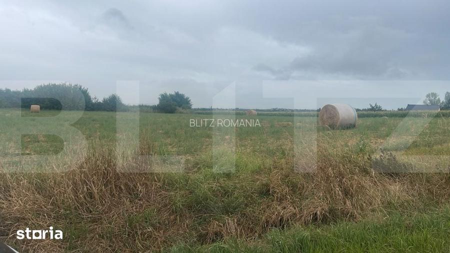 Teren extravilan de vanzare, 20000 mp, zona Hiliseu-Horia