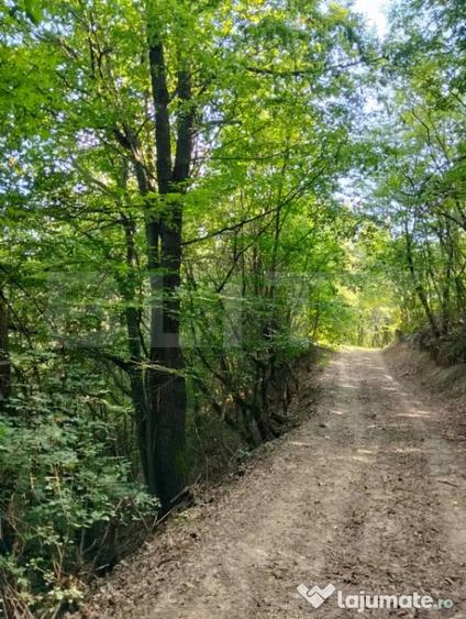 Teren în Poiana Ampoiului