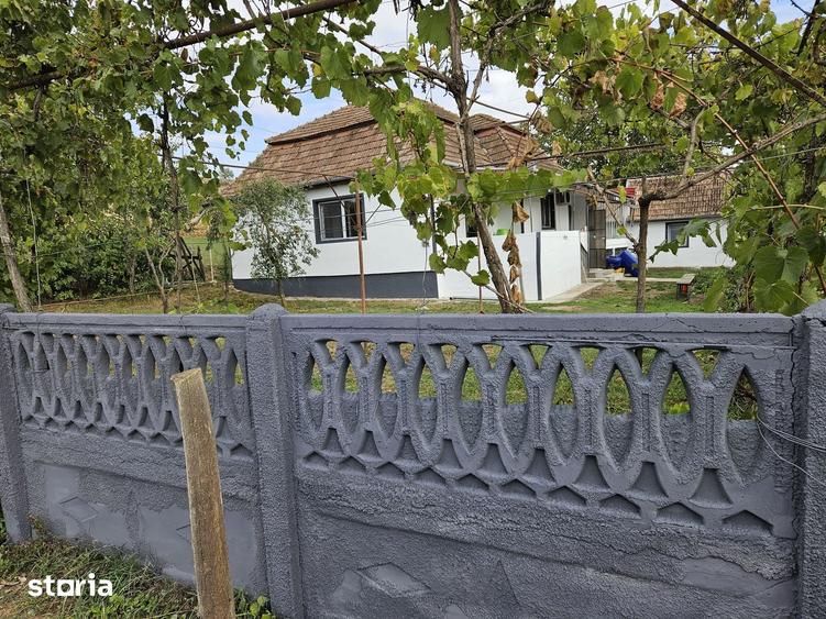 Casă cu 4 camere cu Teren 33000 Mp în Valea