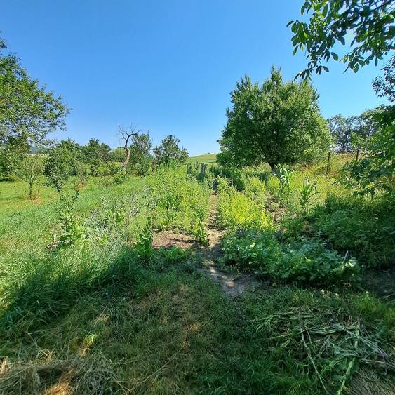 Casă cu 2 camere semidecomandat în Central