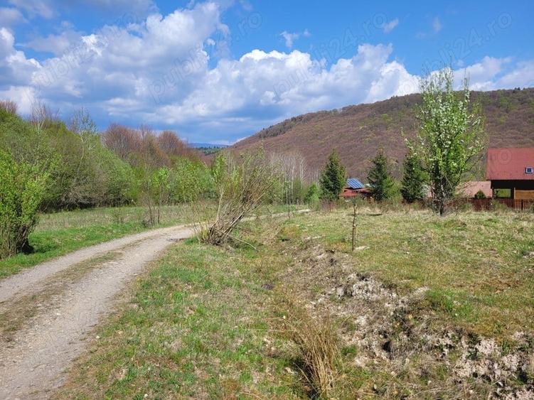 Teren de 4000 mp, în Satu Mare