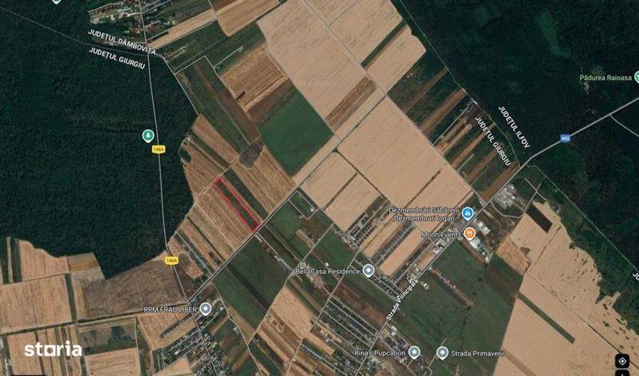 Teren de 6800 mp, în Săbăreni