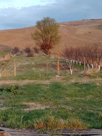 Teren de 5000 mp, în Oprișița