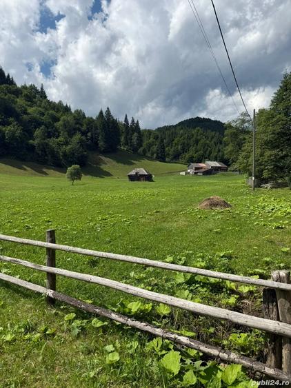 Teren de 6800 mp, în Rucăr