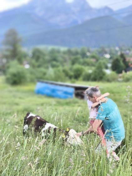 Teren de 506 mp, în Nanov