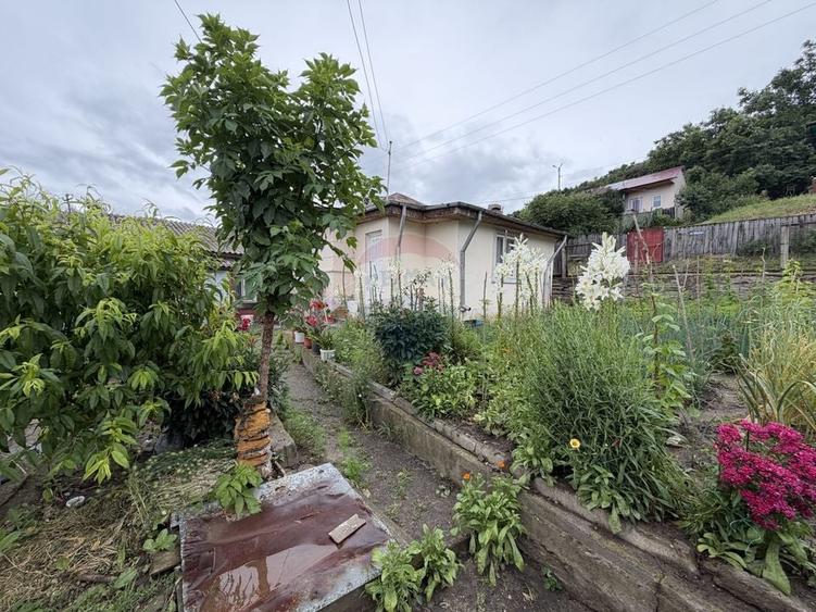 Casă individuală cu 3 camere cu Teren 315 Mp în Nord-Est