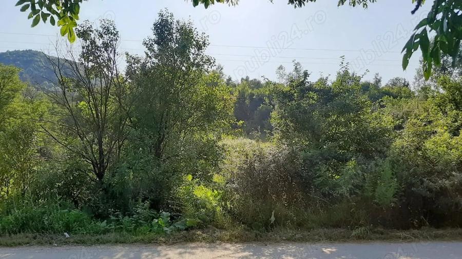 Teren de 3700 mp, în Vâlcănești