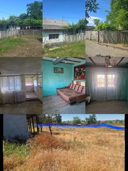 Casă cu Teren 3000 Mp în Dăeni