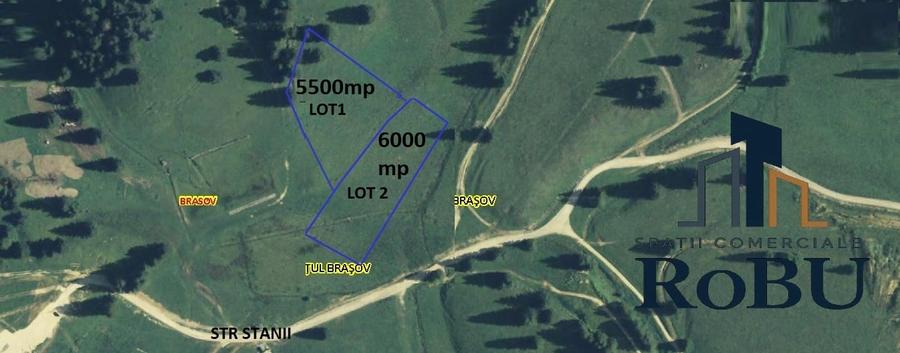 Teren Construcții intravilan de 11500 mp, în Drumul Poienii