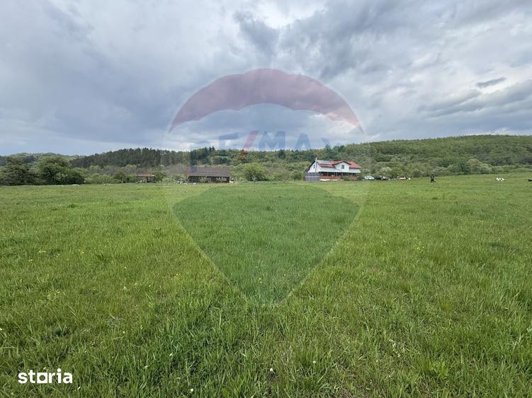 Casă cu 4 camere cu Teren 57600 Mp în Zimbor