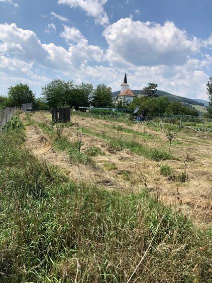 Teren Construcții de 1300 mp, în Vințu de Jos