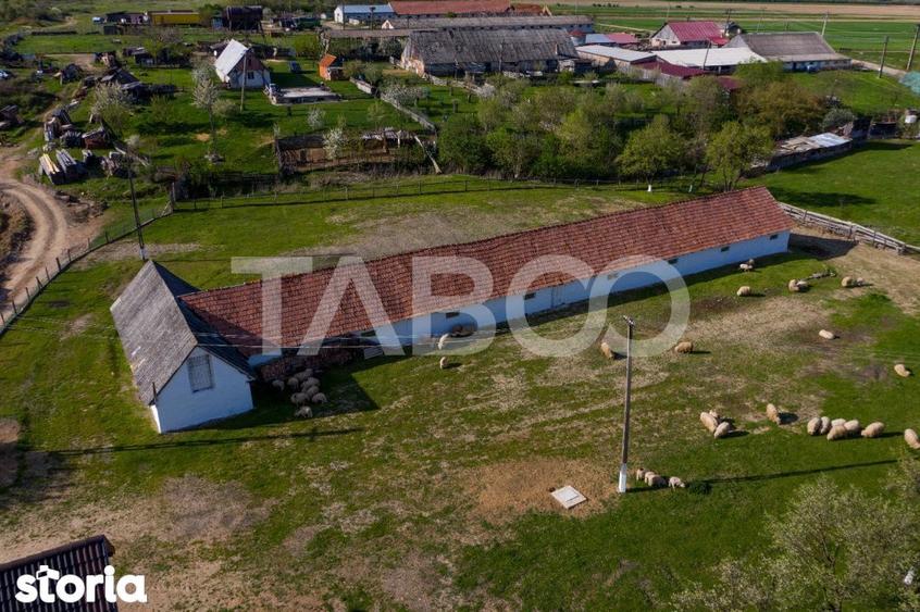Casă cu 3 camere cu Teren 123 Mp în Pianu