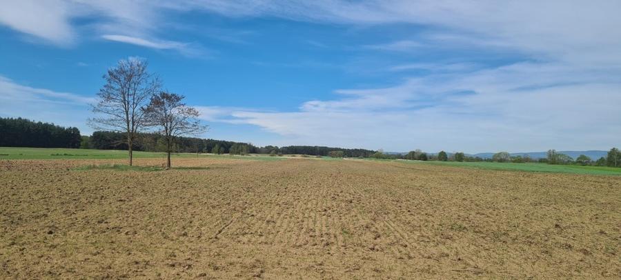 Teren agricol extravilan de 3000 mp, în Reci