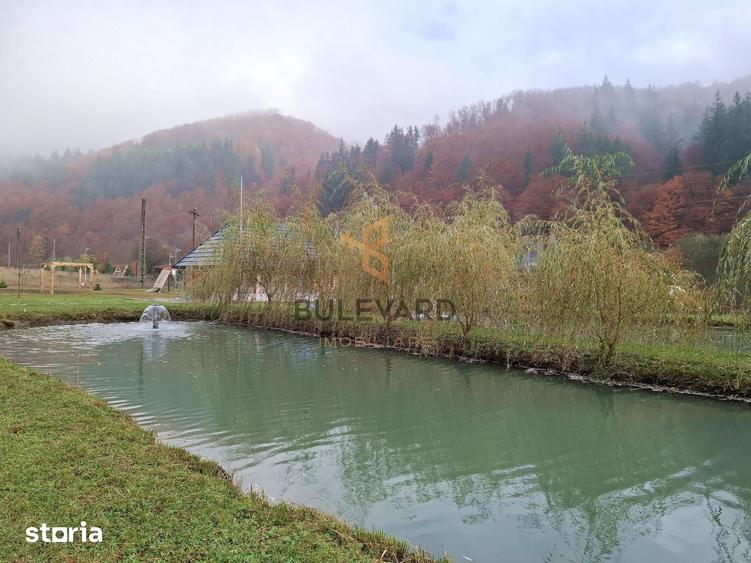 Casă cu 8 camere cu Teren 6300 Mp în Târlișua