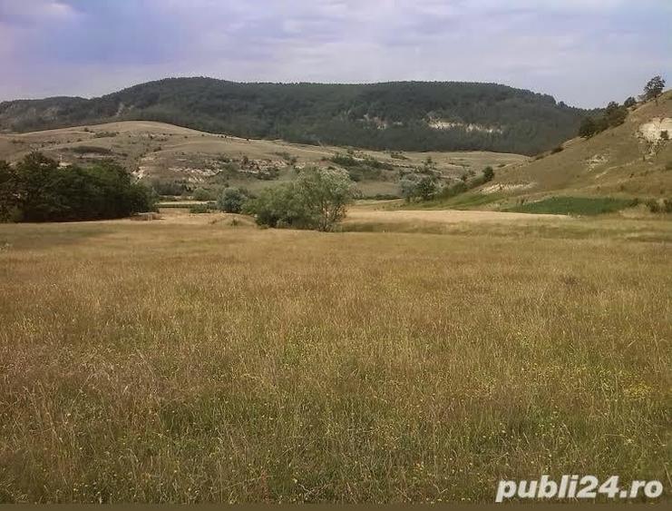 Teren de 5000 mp, în Racâș