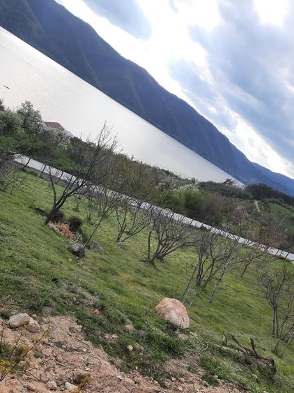Teren Construcții intravilan de 6424 mp, în Svinița