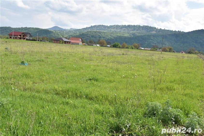 Teren de 5000 mp, în Cut