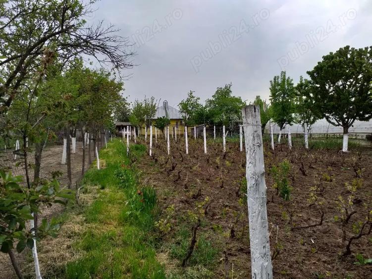 Casă cu 4 camere în Sărățeni