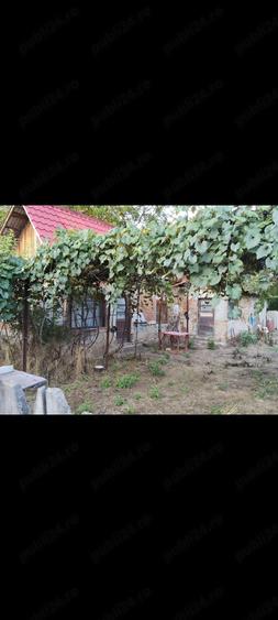 Casă cu Teren 400 Mp în Central