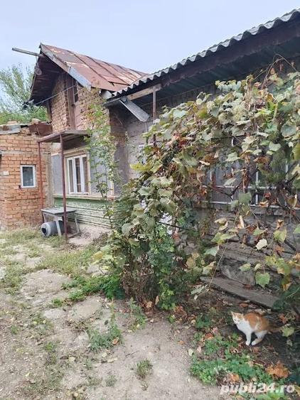 Casă cu 5 camere cu Teren 1300 Mp în Crivina