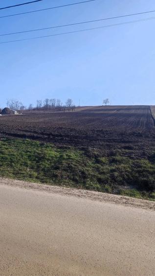 Teren de 5600 mp, în Ungureni