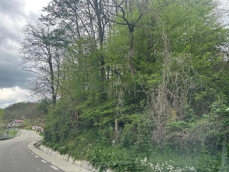 Spațiu comercial, de 900 mp, în Hotarele