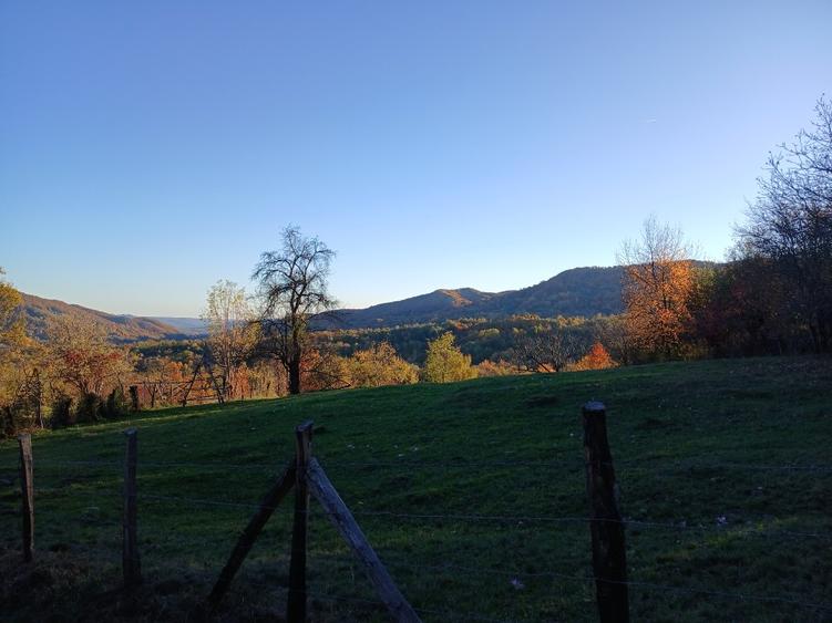 Teren Construcții intravilan de 4377 mp, în Brăduleț