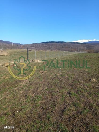 Teren de 1737 mp, în Chirpăr