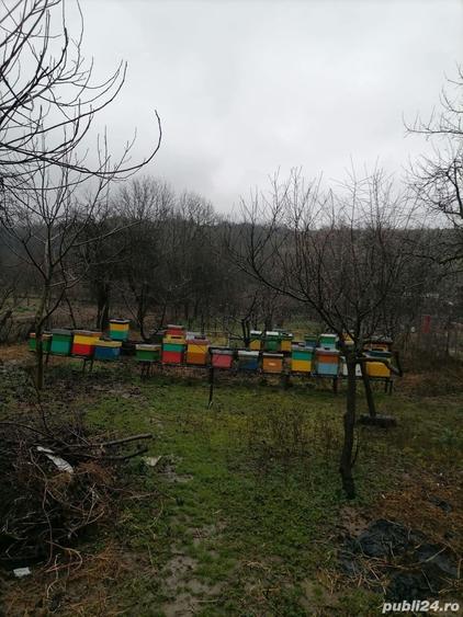 Casă în Nadăș