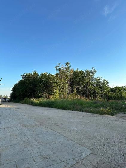 Teren de 433 mp, în Central