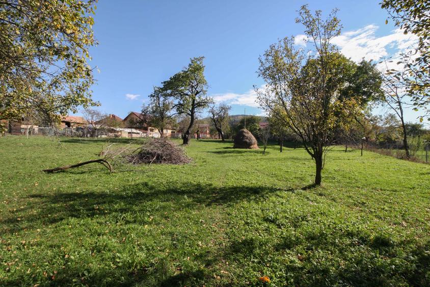 Teren agricol intravilan de 3852 mp, în Poiana