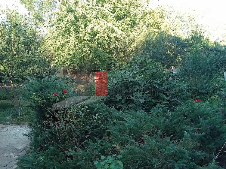 Vanzare teren intravilan Dara?ti-Vla?ca - 12