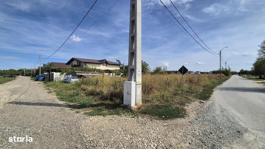 Teren intravilan 700 mp la asfalt in Orasul Magurele - 5