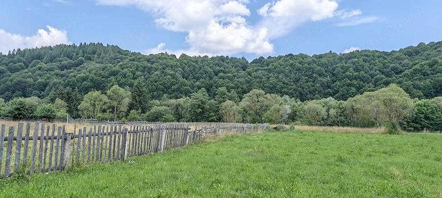 Teren de 4950 mp, în Vama Buzăului
