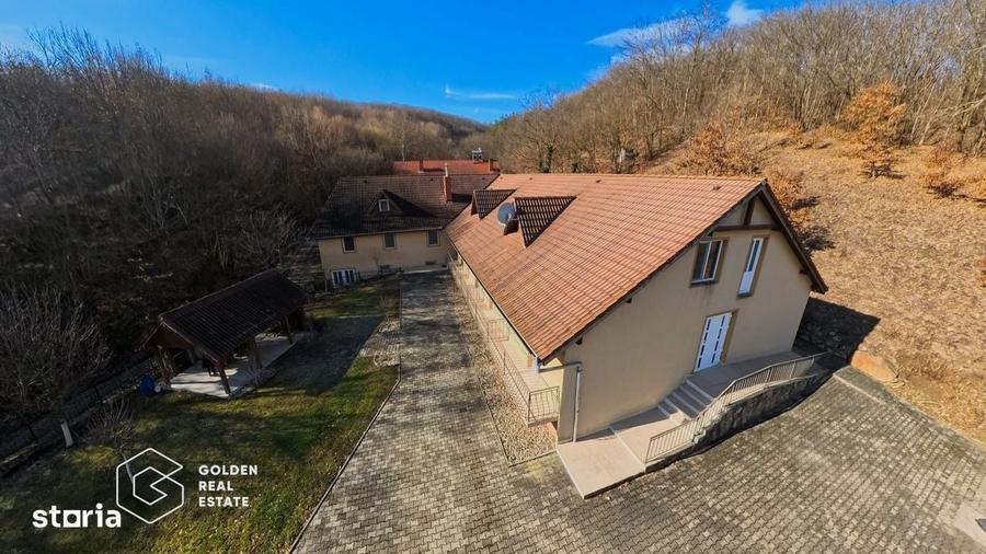 Proprietate pretabila pentru afacere, Cladova - 9